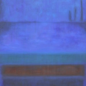 H029